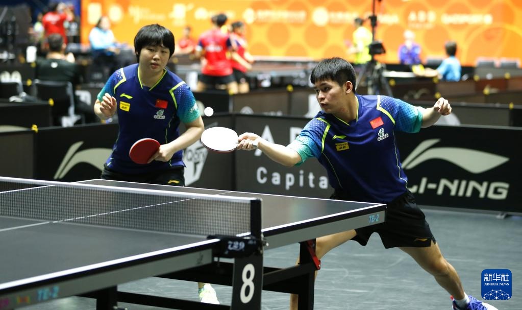 复制了这一 复制了这一